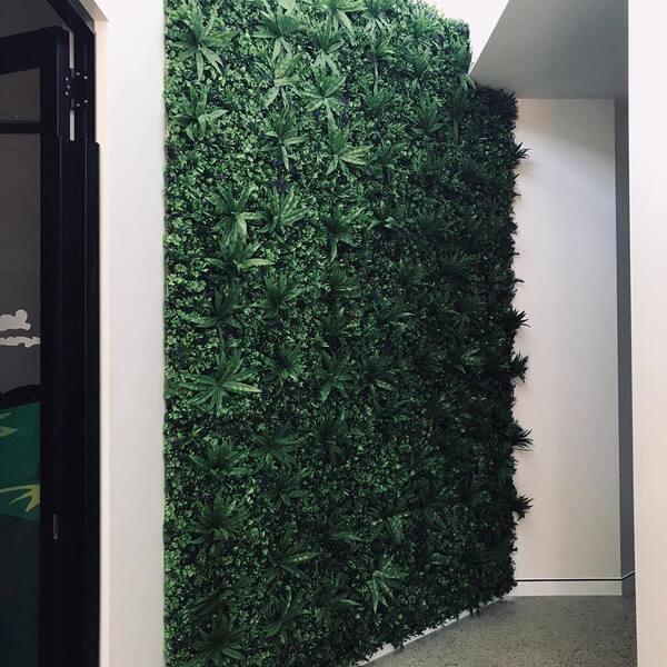 Muestra una pared falsa con plantas de interior.