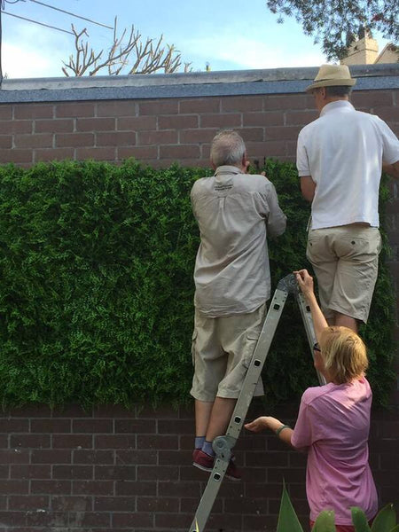 Instalación de paneles de pared verdes en una pared de azulejos rojos.