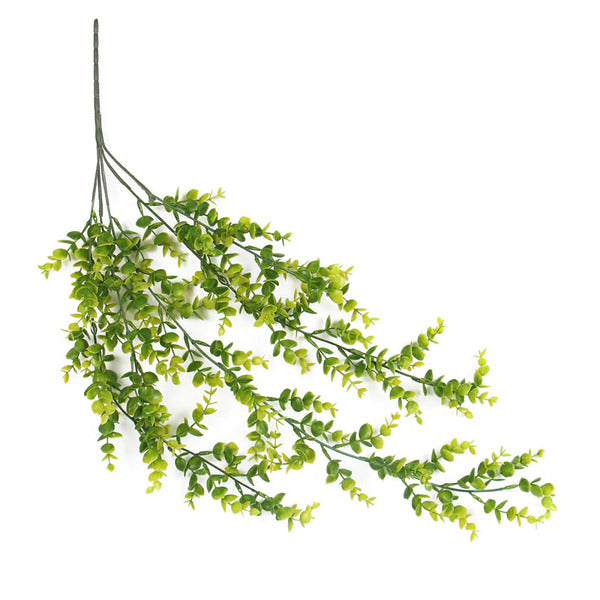 yellow and green eucalyptus hanging plant