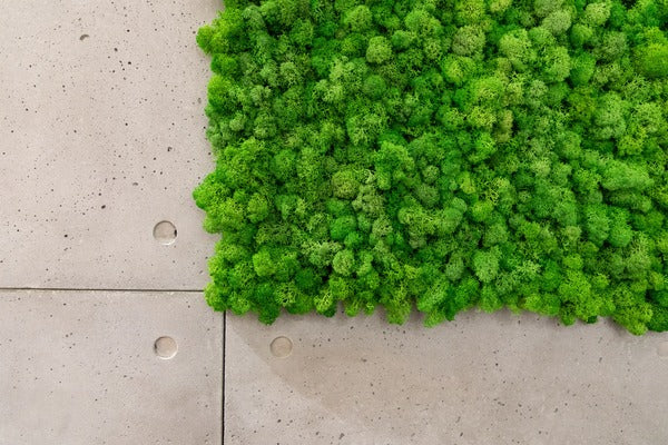 block wall with fake moss