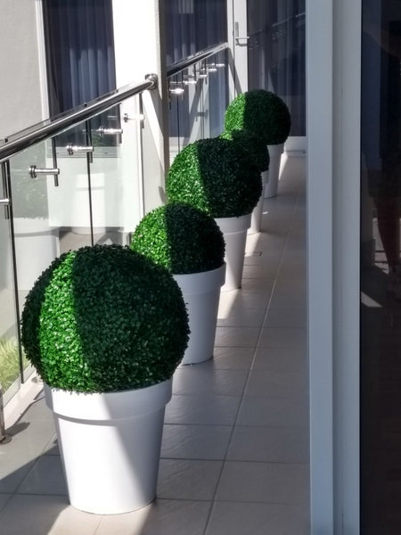 topiary balls on balcony