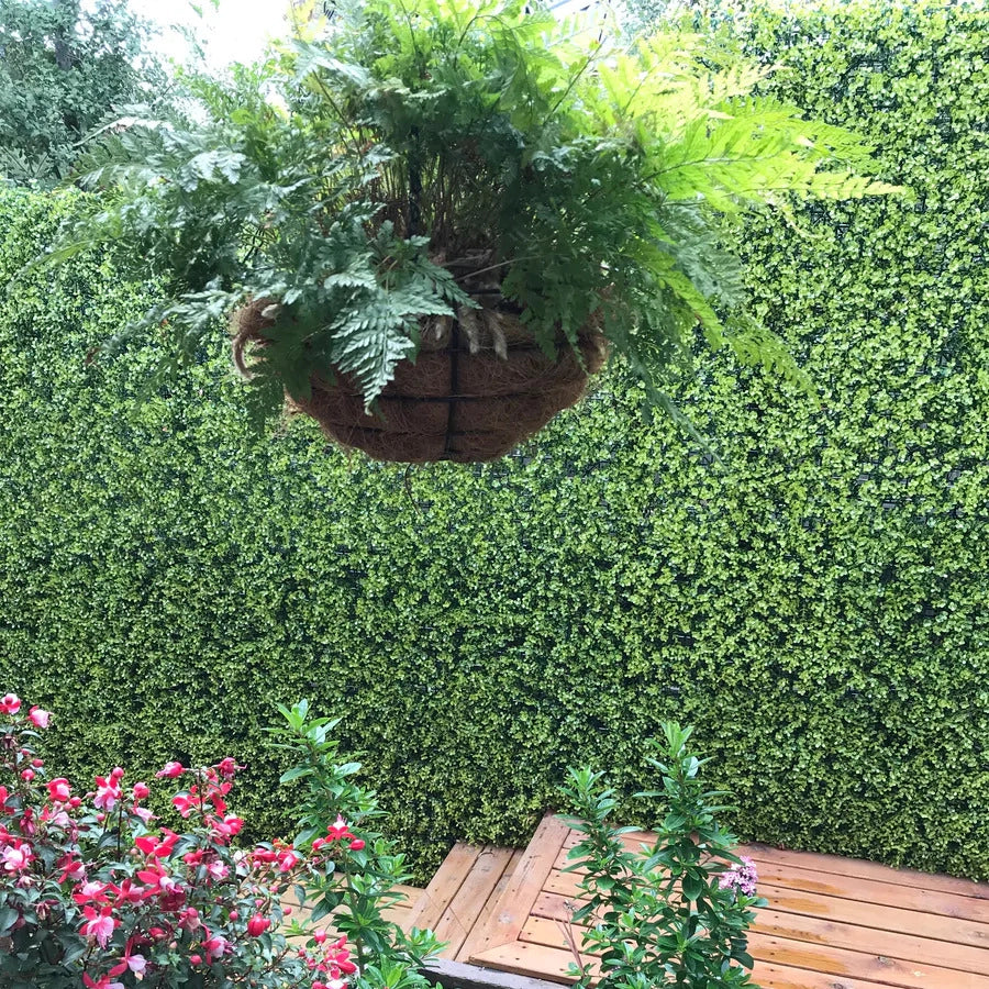 yellow boxwood hedge panel artificial green wall environment friendly