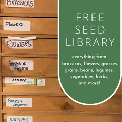 Free Seed Library, Etobicoke, GTA
