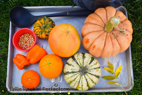 fun kid and preschool friendly pumpkin science play