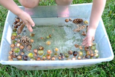 fall autumn nature sensory bin with water for water play