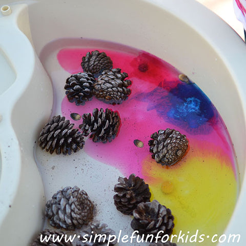 pine cones and acorns in water table with colored water for sensory play