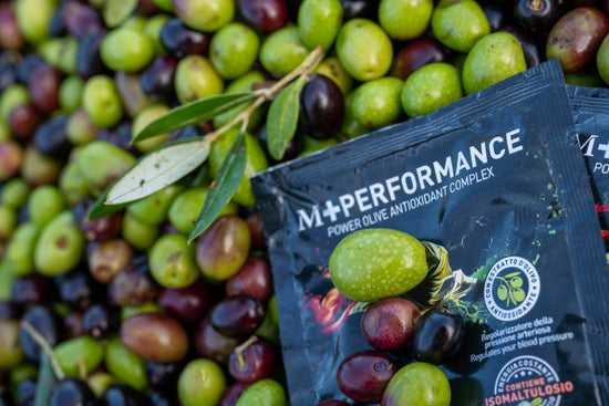 M+Performance fra le olive