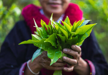 タイ茶葉