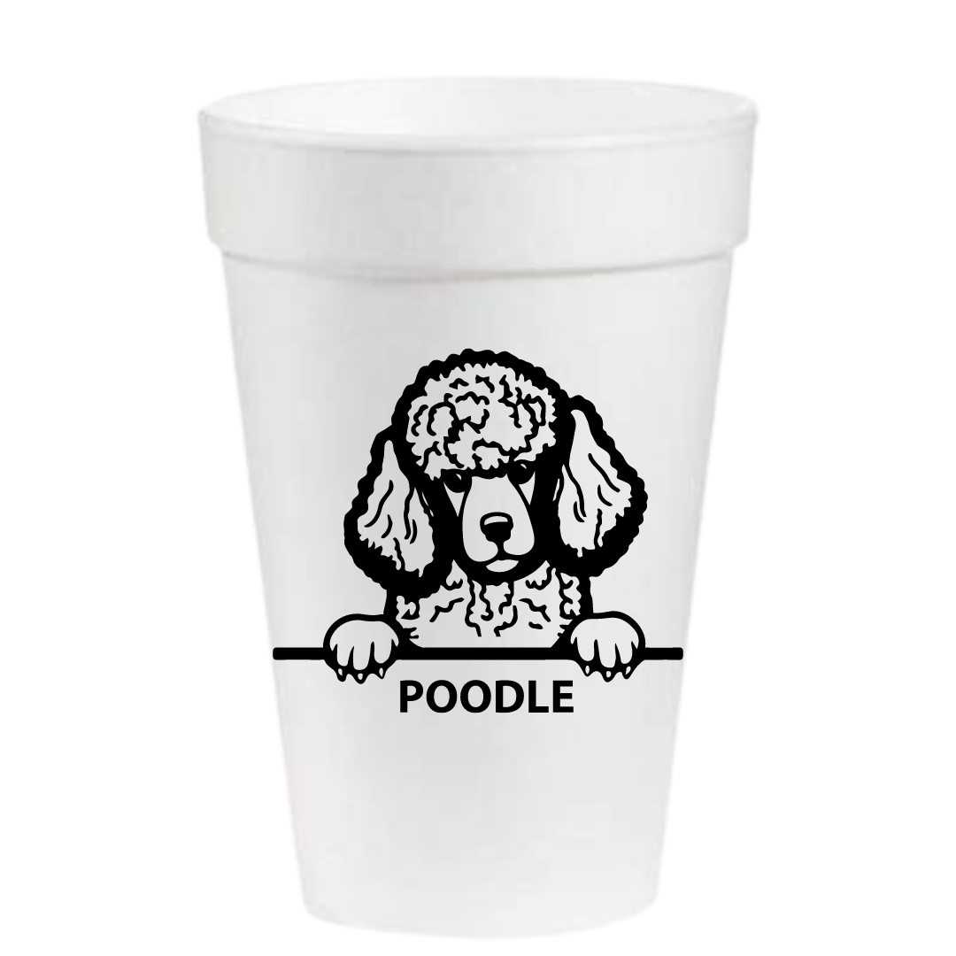 Cool Dood - 16oz Styrofoam Cups – Hissyfits Boutique, LLC