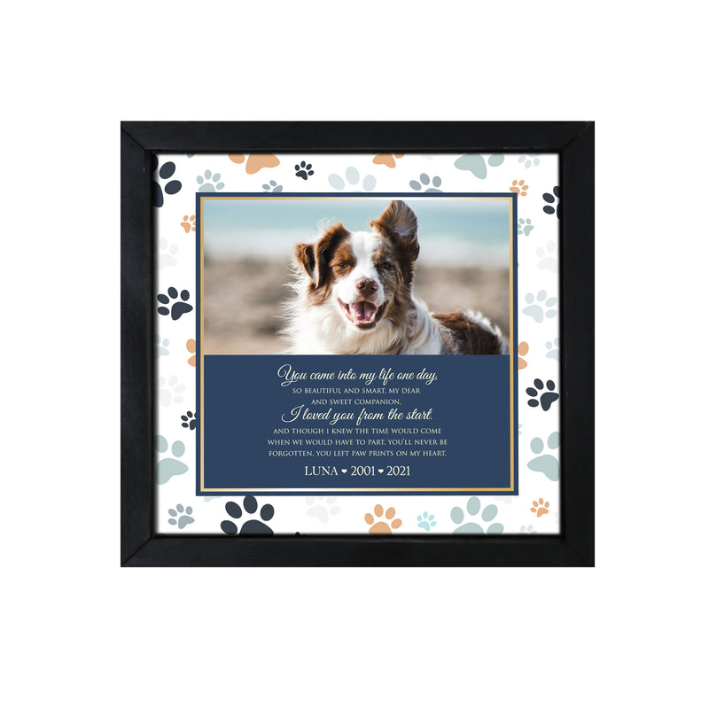 Pet Memorial Custom Photo Framed Shadow Box Décor - You Came Into My Life One Day