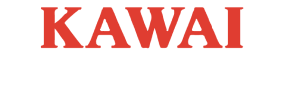 kawai-michigan-1.png