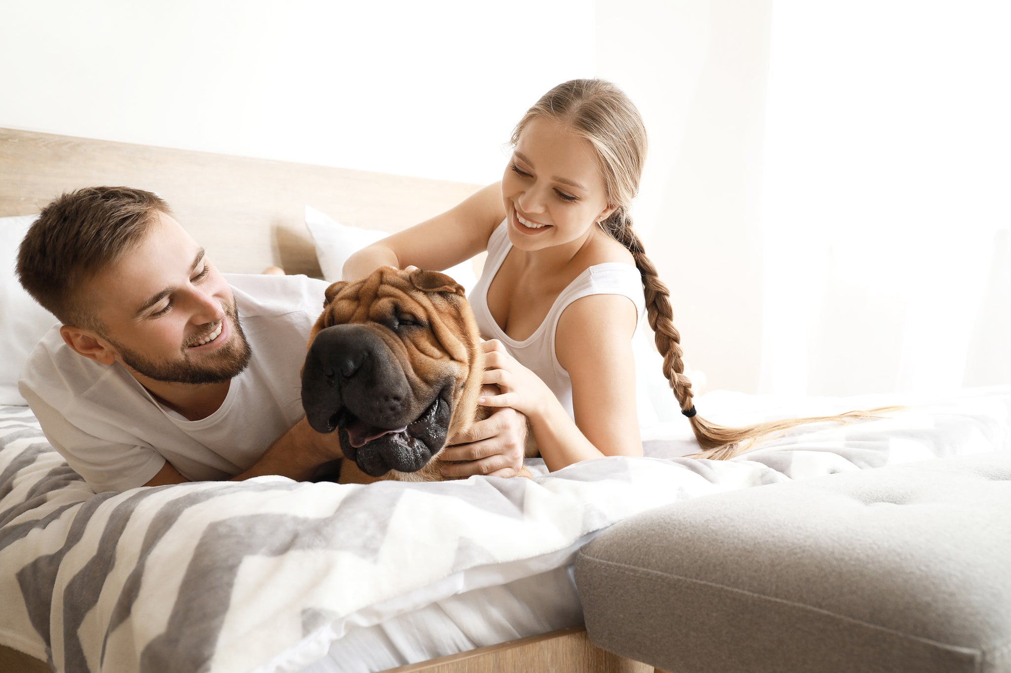 Couple et chien dans un lit