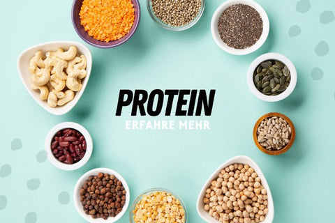 Protein