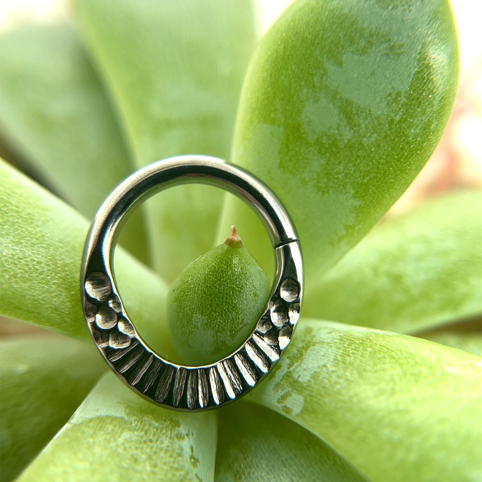 Monolith High Polish Black Niobium Seam Ring