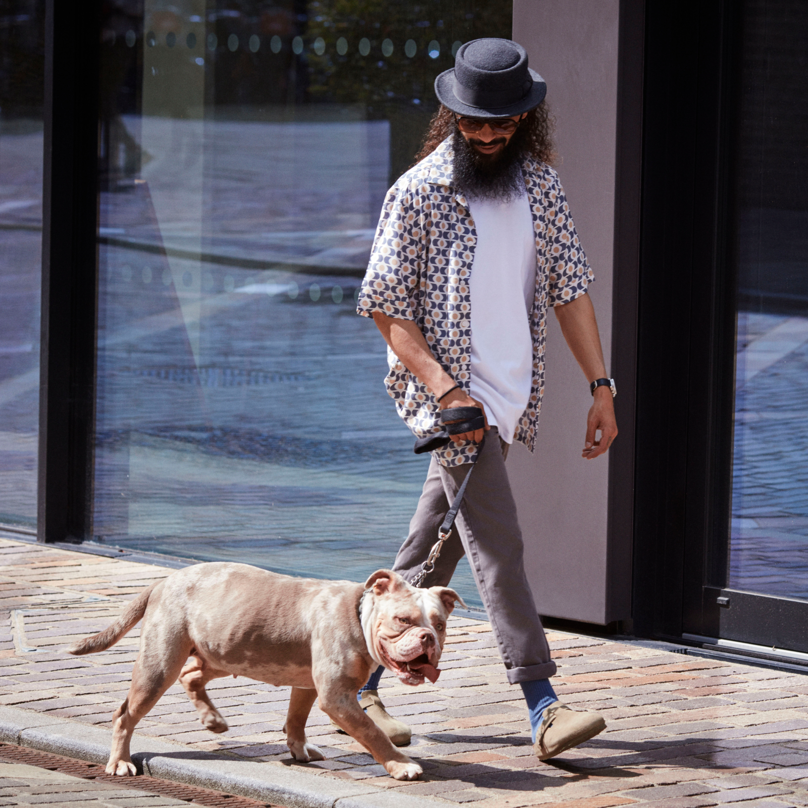 Man walking with a dog on a sunny day