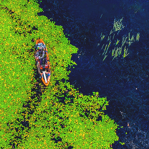 Fishing in an orange Sea Ghost 110 surrounded by lillypads