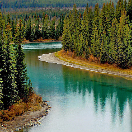 Idyllic river with clear water