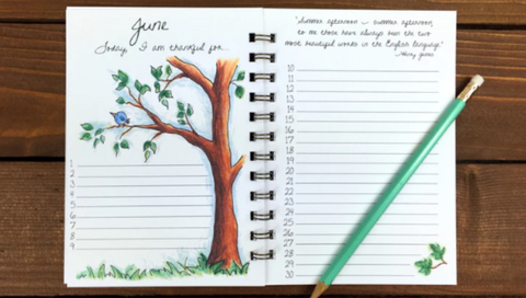 Daily Gratitude Journal with pencil