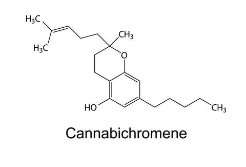 cannabichromene (CBC)