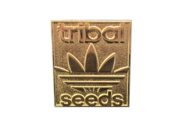 Gold Tribal Seeds Pin