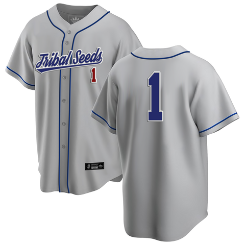 Pinstripe Crop Baseball Jersey – Tribal Seeds Store