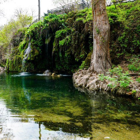 Krause Springs