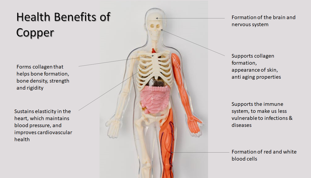 Benefits Of Copper For The Body