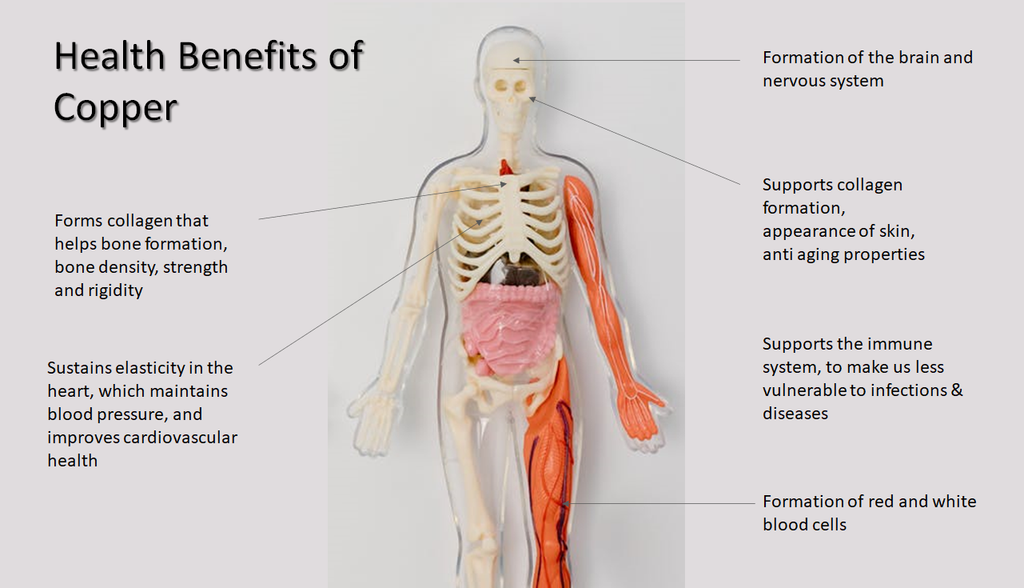 Health Benefits of Copper on body