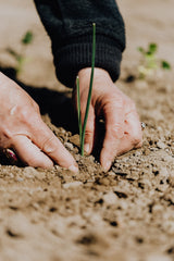 Gardening- Copper Tape