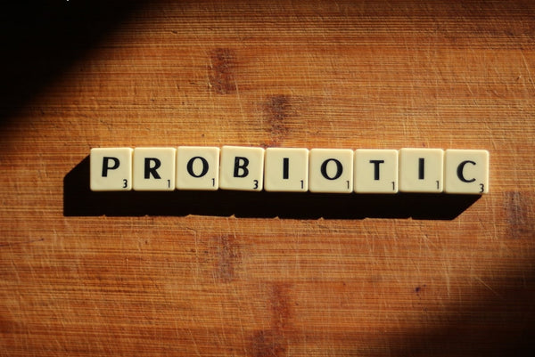 How Long Do Probiotics Stay in Your System? 3 - moderndose.com