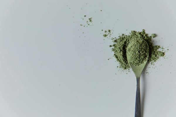 Matcha Powder on a Spoon