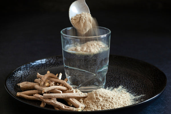 ashwagandha powder spooned into a glass of water and sitting on a plate with ashwagandha root and powder