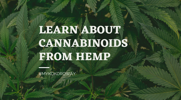 Learn about benefits of CBD and cannabinoids from hemp at The Kokoro Way NY