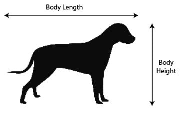 dog-size