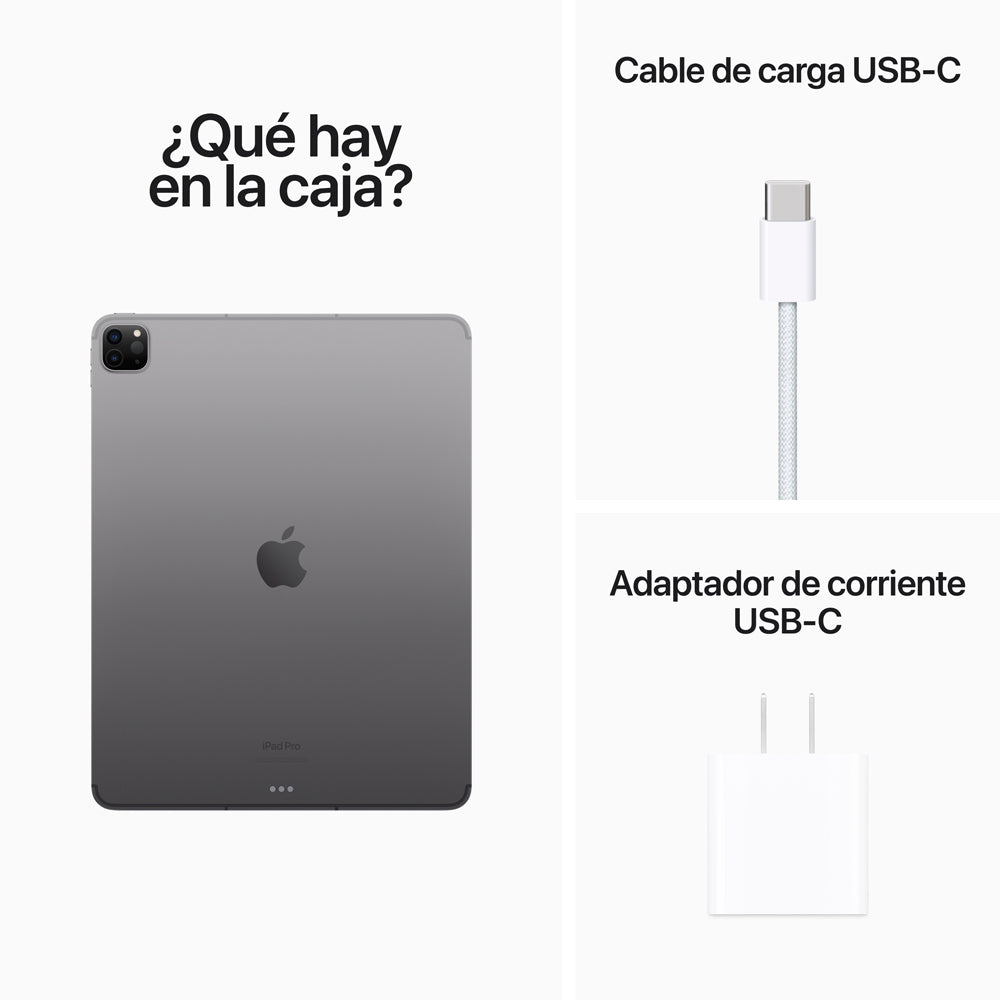 Gris espacial / 256 GB / Wi-Fi