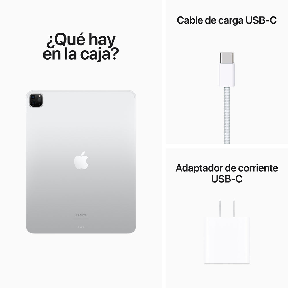 Gris espacial / 256 GB / Wi-Fi