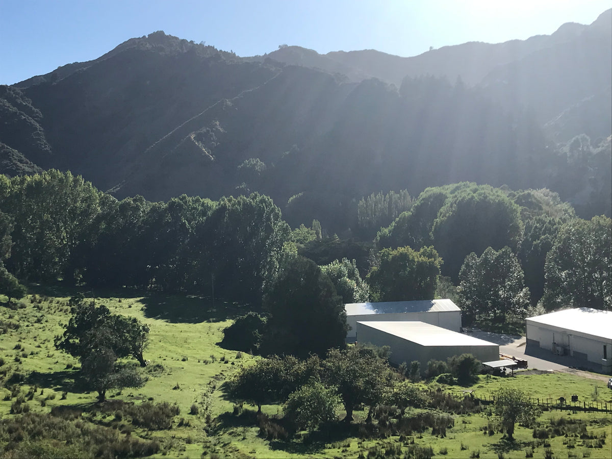 Settlers Honey - History of Makowhai Station - Th heart of Settlers Honey