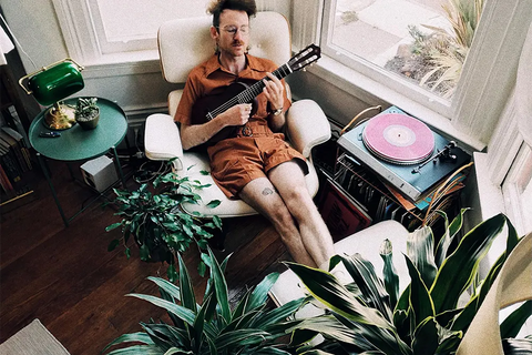 How music can improve your houseplants well-being