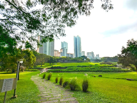 Bishan-Ang Mo Kio Park. Photo by Gede Bagus Bayu Pentium on Google Images.