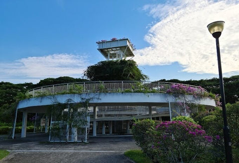 Bougainvillea Garden at East Coast Park. Photo by Vincent Khoo.