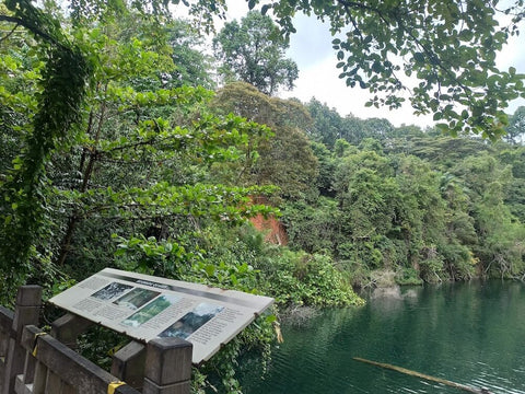 Bukit Timah Nature Reserve rainforest quarry. Photo by Venkat Astro.