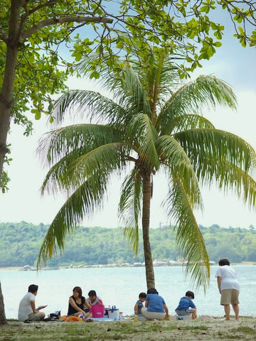 Changi Beach Park picnic goers. Photo by National Parks Gov.