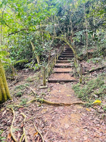 Chestnut Nature Park hiking trail. Photo by Marlene Lee.