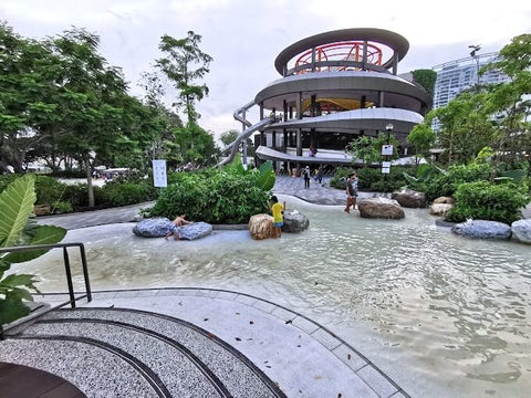 Coastal Playgrove. Photo by Khairul Anwar.