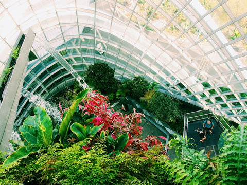 Couple in the Flower Dome at Gardens By The Bay. Photo by Yu Kato.