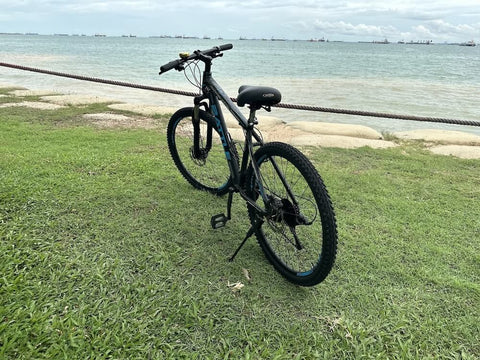 Cycling through East Coast Park. Photo by Chris Cristobal.