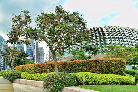 Esplanade Roof Terrace. Photo by Choo Yut Shing.