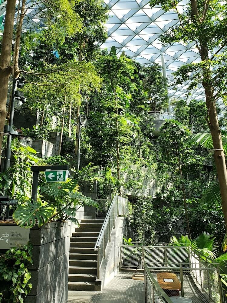 Jewel Changi Airport's indoor picnic space where guests can unwind amidst the trees and away from crowded zones. Photo by Cezar Petrela.