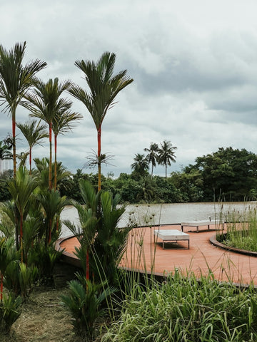 Jurong Lake Gardens. Photo by shawnanggg.