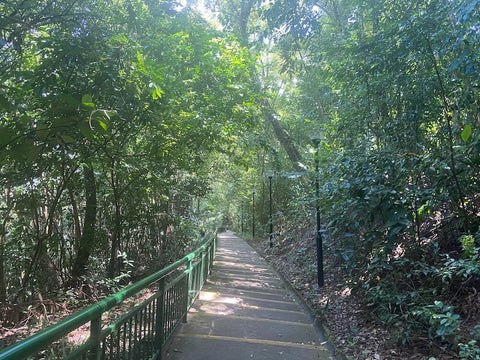 Kent Ridge Park biking trail. Photo by Mingzhe Du.